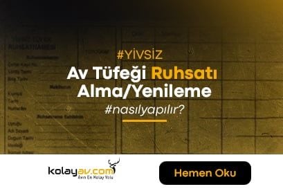 Yivsiz Av Tüfeği Ruhsatı Nasıl Alınır? Nasıl Yenilenir? 2024