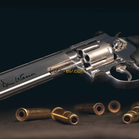 ASG Dan Wesson 6 İnç Gümüş Pellet Havalı Tabanca